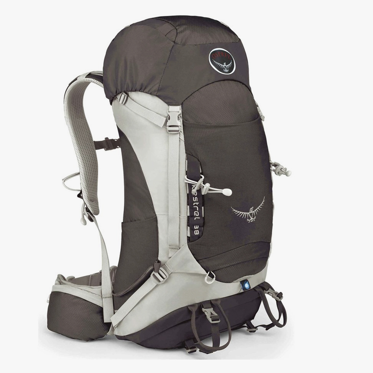 kestrel 38l